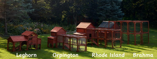 Chicken Coop for 6 Chickens – Orpington Lodge (Hen House Only)