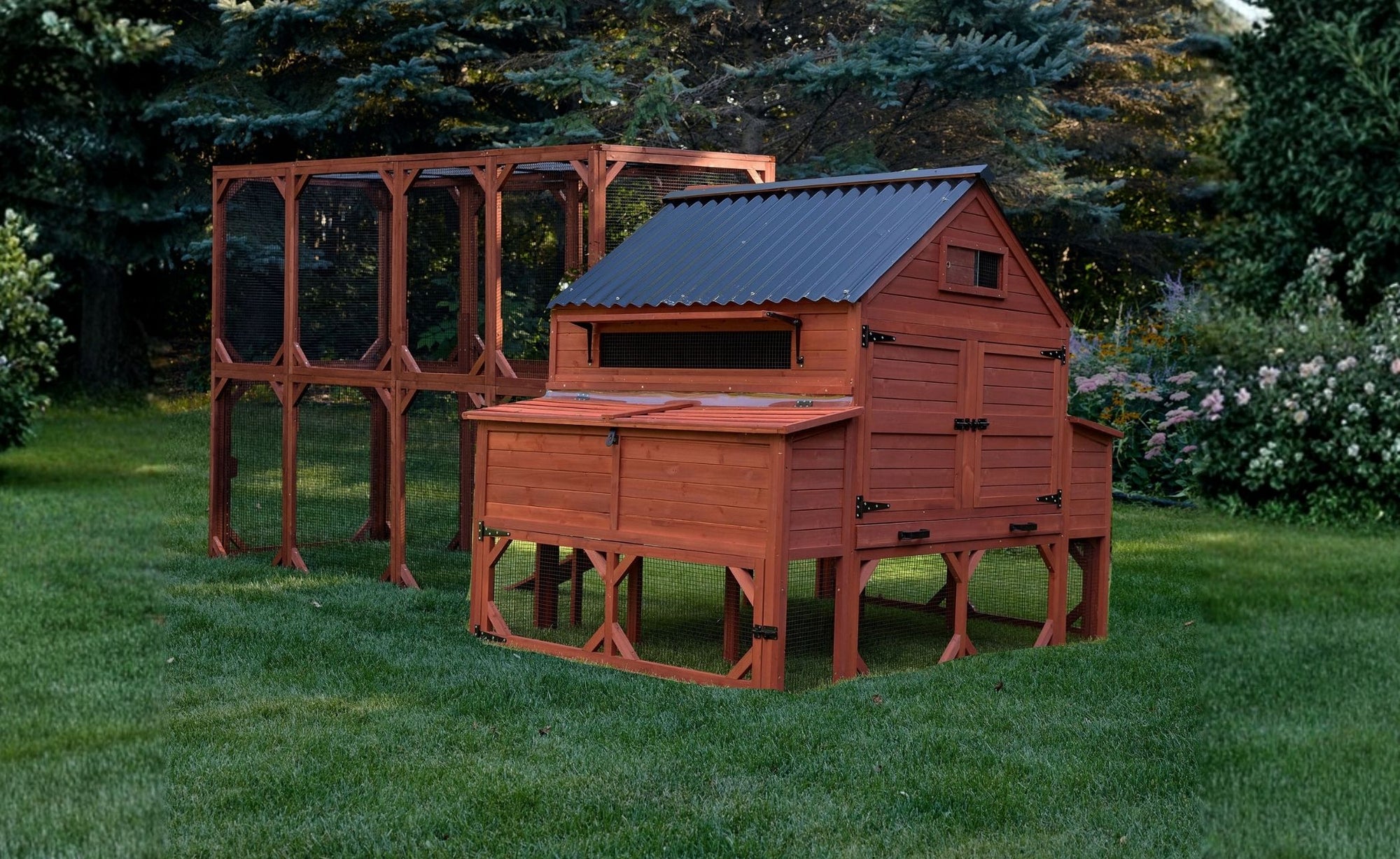 Wooden chicken coop with metal roof and large walk-in run, elevated design for predator protection and durability