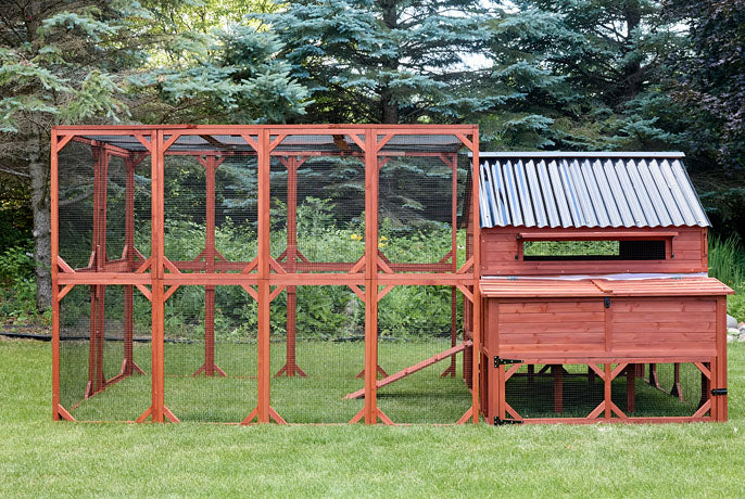 Large red wooden chicken coop with walk-in run and metal roof, ideal for 6-8 backyard chickens.