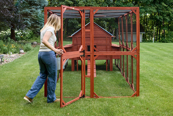 Large walk-in chicken run with a full-height door for easy owner access and 6-8 hen capacity.