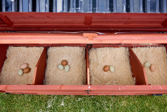 Four-compartment red wooden nesting box with excelsior bedding and multi-colored fresh backyard eggs.