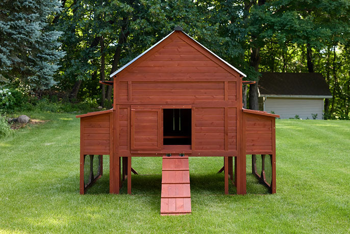 Elevated red wooden chicken coop with dual nesting boxes, central pop door, and heavy-duty metal roof.