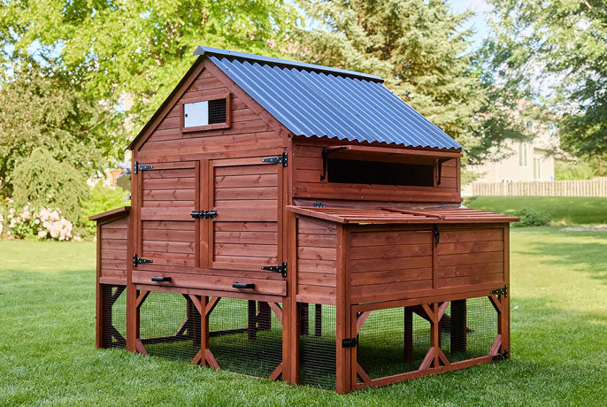Deluxe red wooden chicken coop with dual nesting boxes and corrugated metal roof for 6-8 backyard chickens.