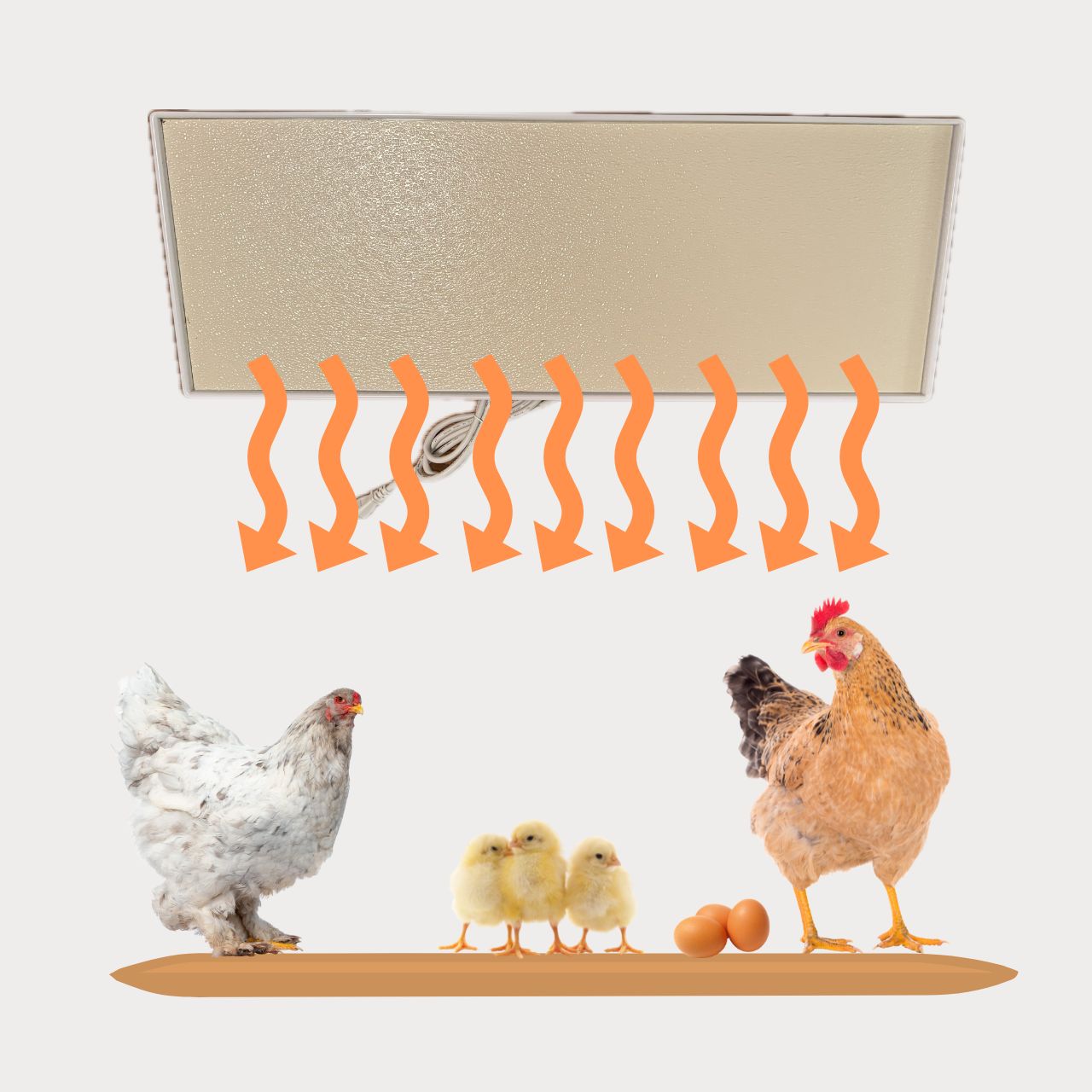 Chicken Coop Heater | Safe Chicken Coop & Brooder Heater