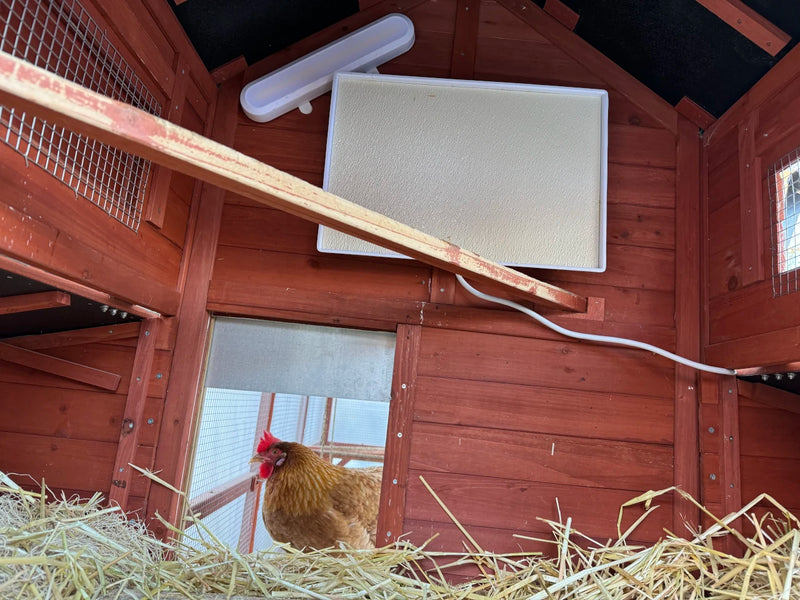 Chicken Coop Heater | Safe Chicken Coop & Brooder Heater