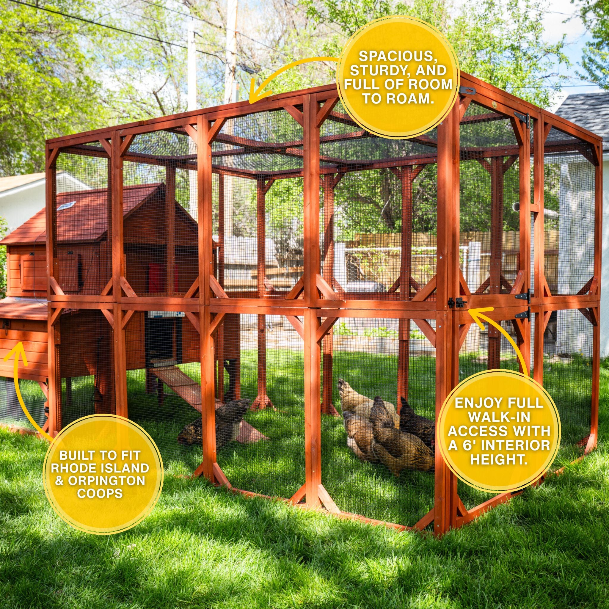 Brahma Chicken Run Extension