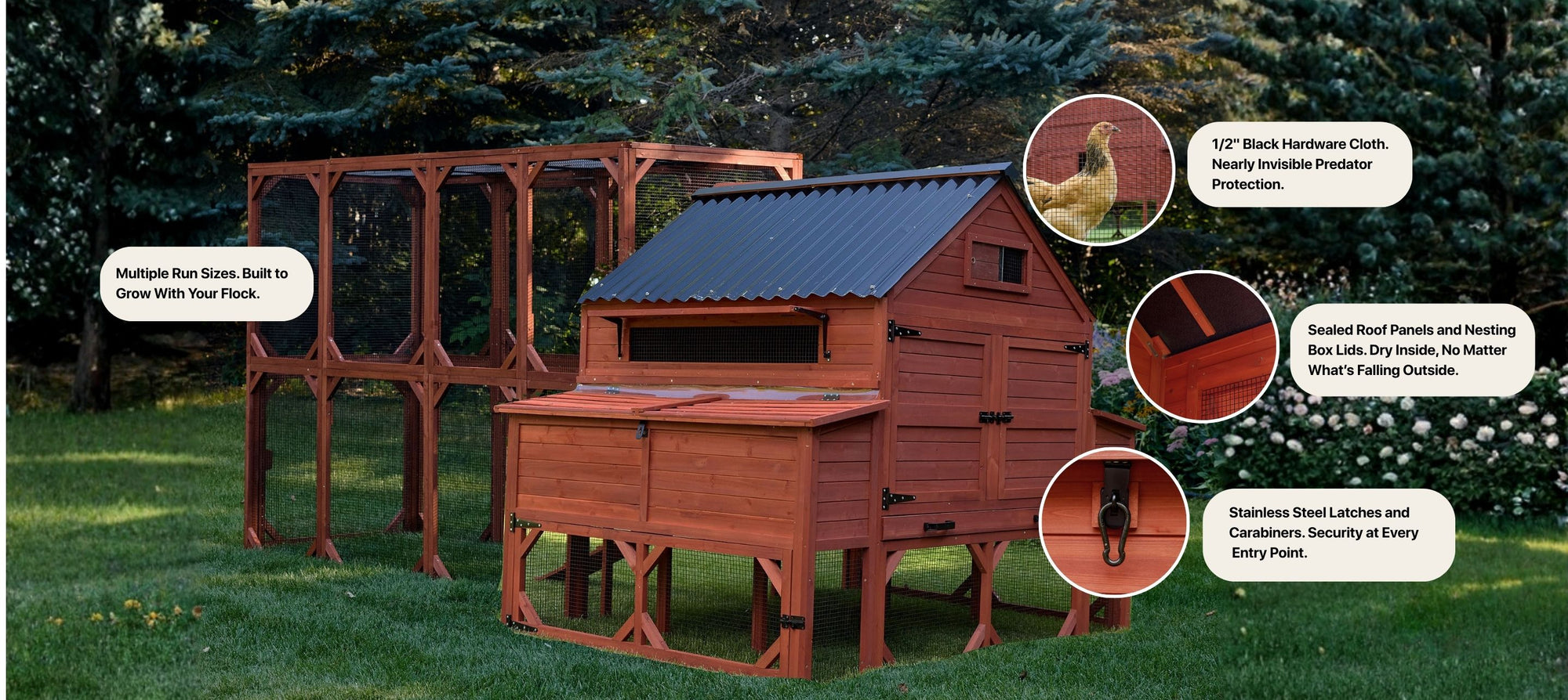 Brahma chicken coop with covered run, sealed roof panels and nesting boxes keep large hens dry in all weather