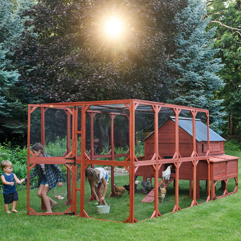 Large chicken coop in natural wood finish, ideal for Brahma flocks with ample headroom and sturdy construction