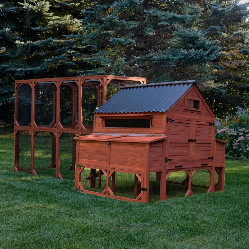 Well-crafted backyard coop sized perfectly for Brahma hens, offering comfort, durability, and easy cleaning access