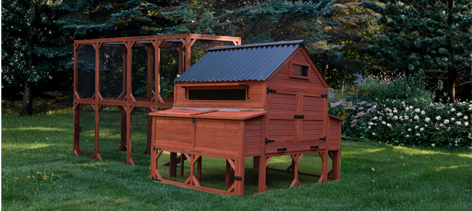 Leghorn chicken coop with metal roof and attached run showing elevated wooden design for backyard flock housing and predator protection