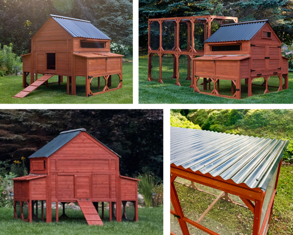 BUNDLE: Brahma Chicken Coop + Run Extension + Run Roof