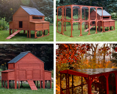 BUNDLE: Brahma Chicken Coop + Run Extension + Run Roof