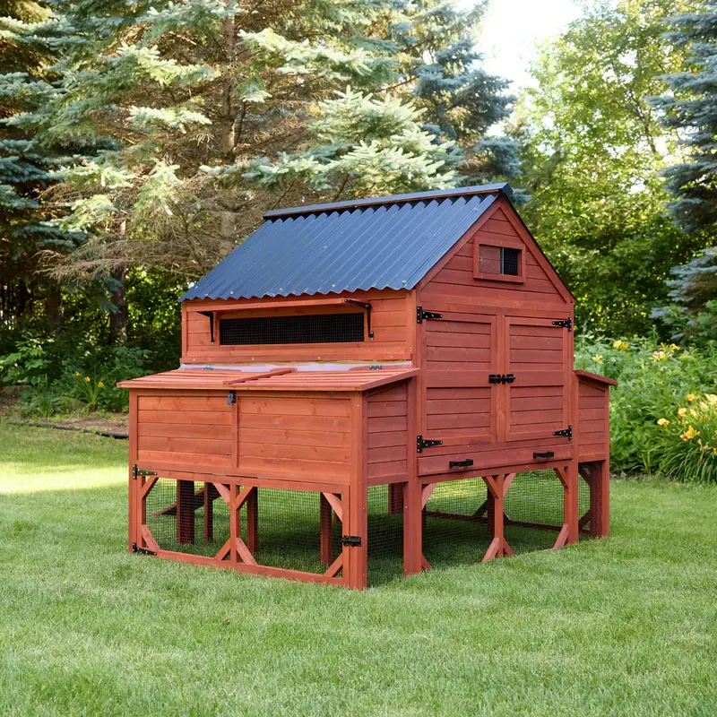 Orpington Lodge Chicken Coop