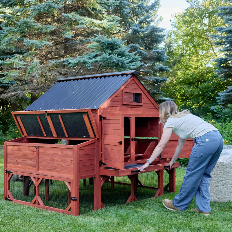 Chicken Coop for 15 Chickens – Brahma Chicken Coop