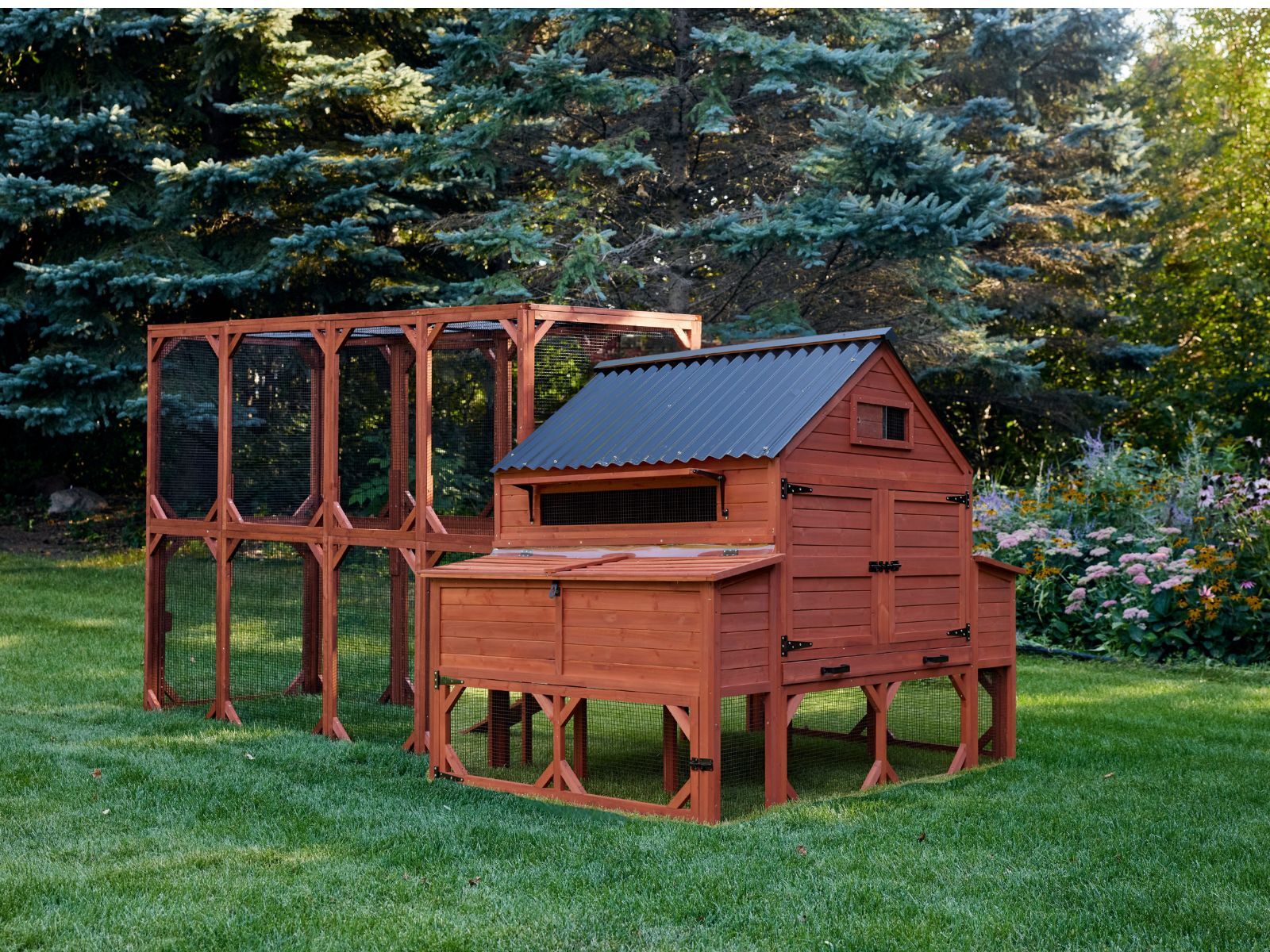 Chicken Coop for 15 Chickens – Brahma Chicken Coop