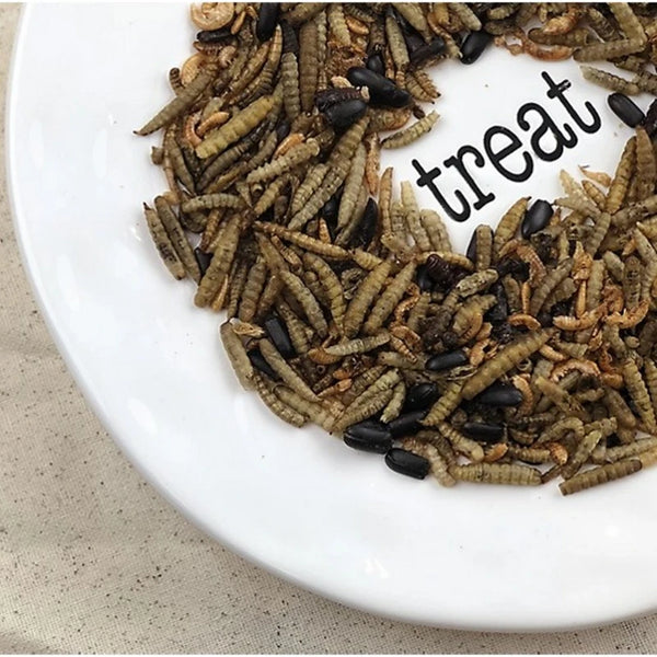 Happy Hen Bug Bonanza, a 100% natural dried mealworm and bug mix, high in protein, ideal for training and taming chickens