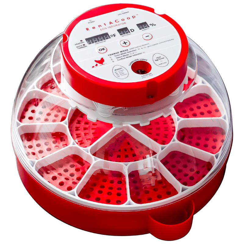 RentACoop 16-Egg Smart Incubator – App Controlled