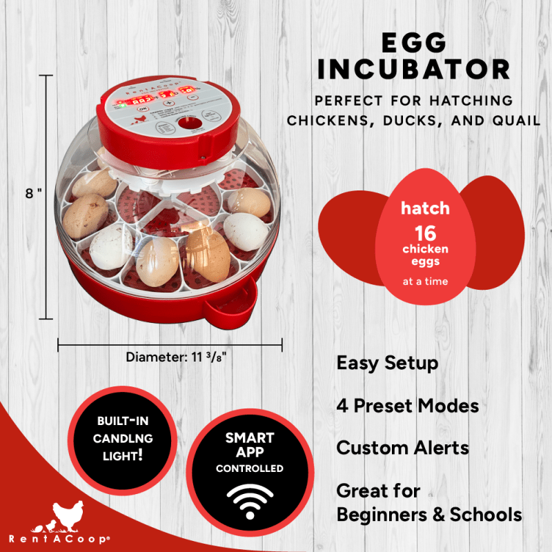 RentACoop 16-Egg Smart Incubator – App Controlled
