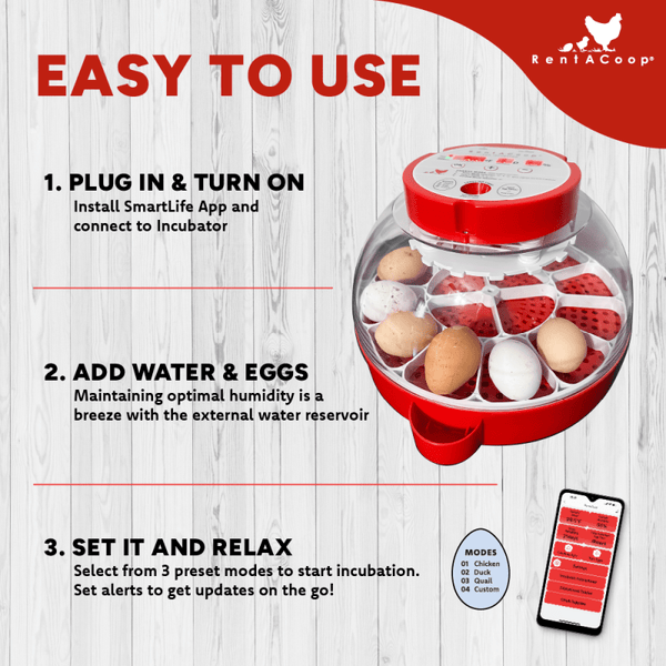 RentACoop 16-Egg Smart Incubator – App Controlled