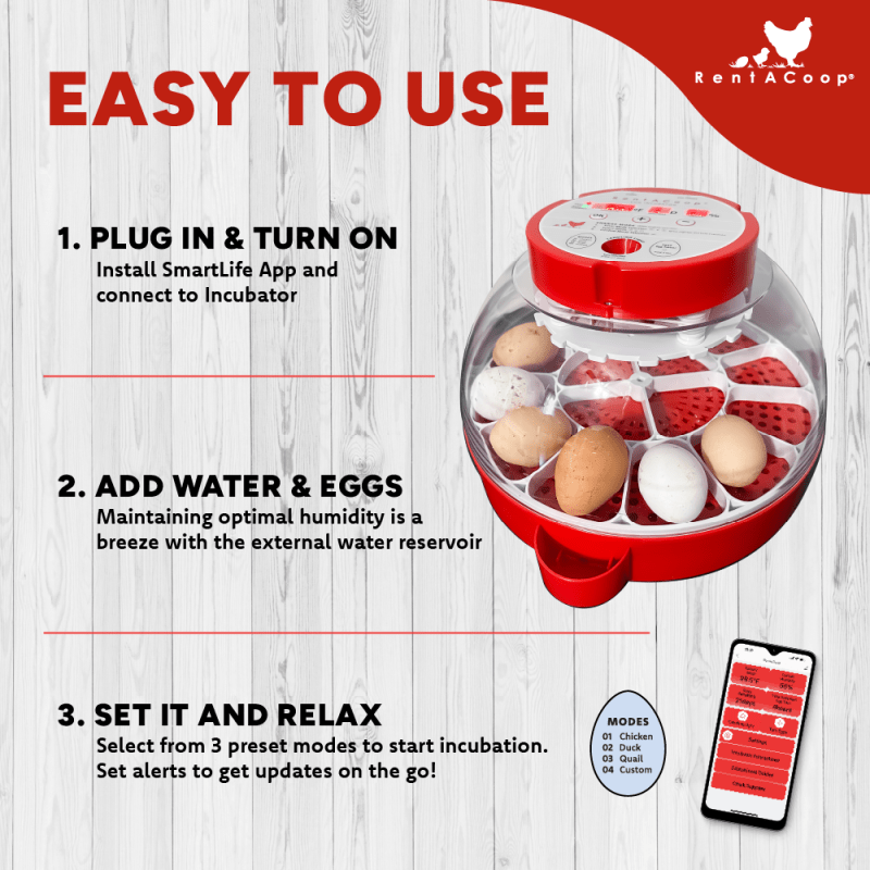 RentACoop 16-Egg Smart Incubator – App Controlled