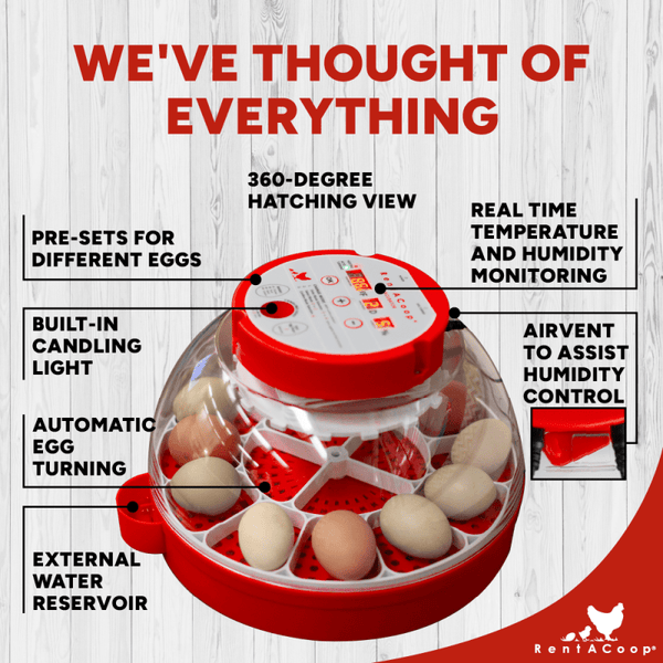 RentACoop 16-Egg Smart Incubator – App Controlled