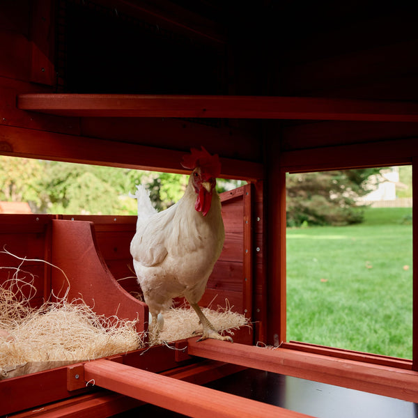 BUNDLE: Orpington Lodge Chicken Coop + Run Extension + Run Roof