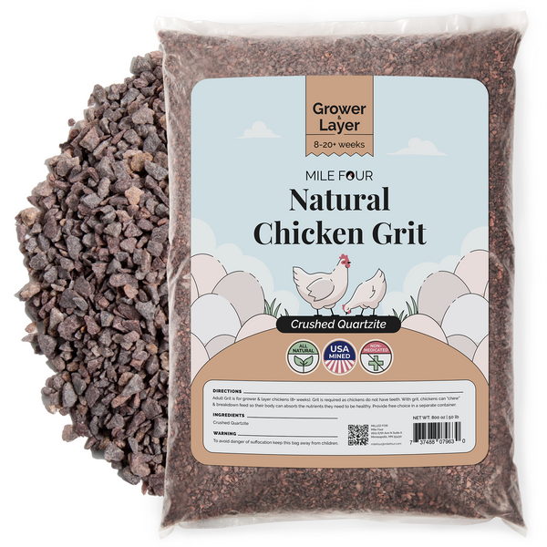 Chickens have no teeth required: Chickens can "chew" and break down feed so that their bodies can absorb the nutrients they need to be healthy and produce larger eggs more consistently.