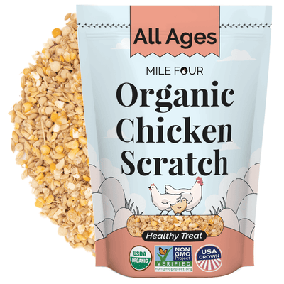 Chicken Scratch Chicken Treat for Hens - Certified Organic & Non-GMO, Soy-Free, Non-Medicated, USA