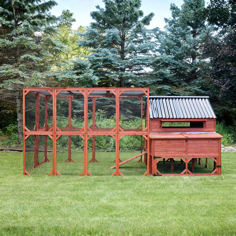 BUNDLE: Brahma Chicken Coop + Run Extension + Run Roof