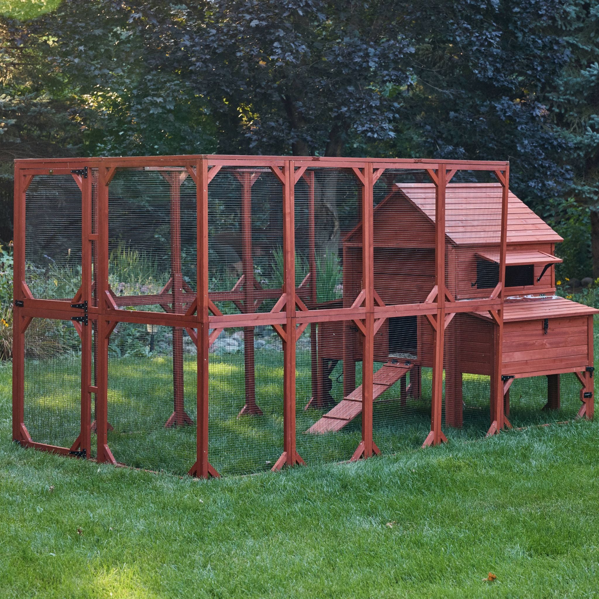 Chicken Coop for 10 Chickens – Rhode Island Homestead Coop with Run Extension