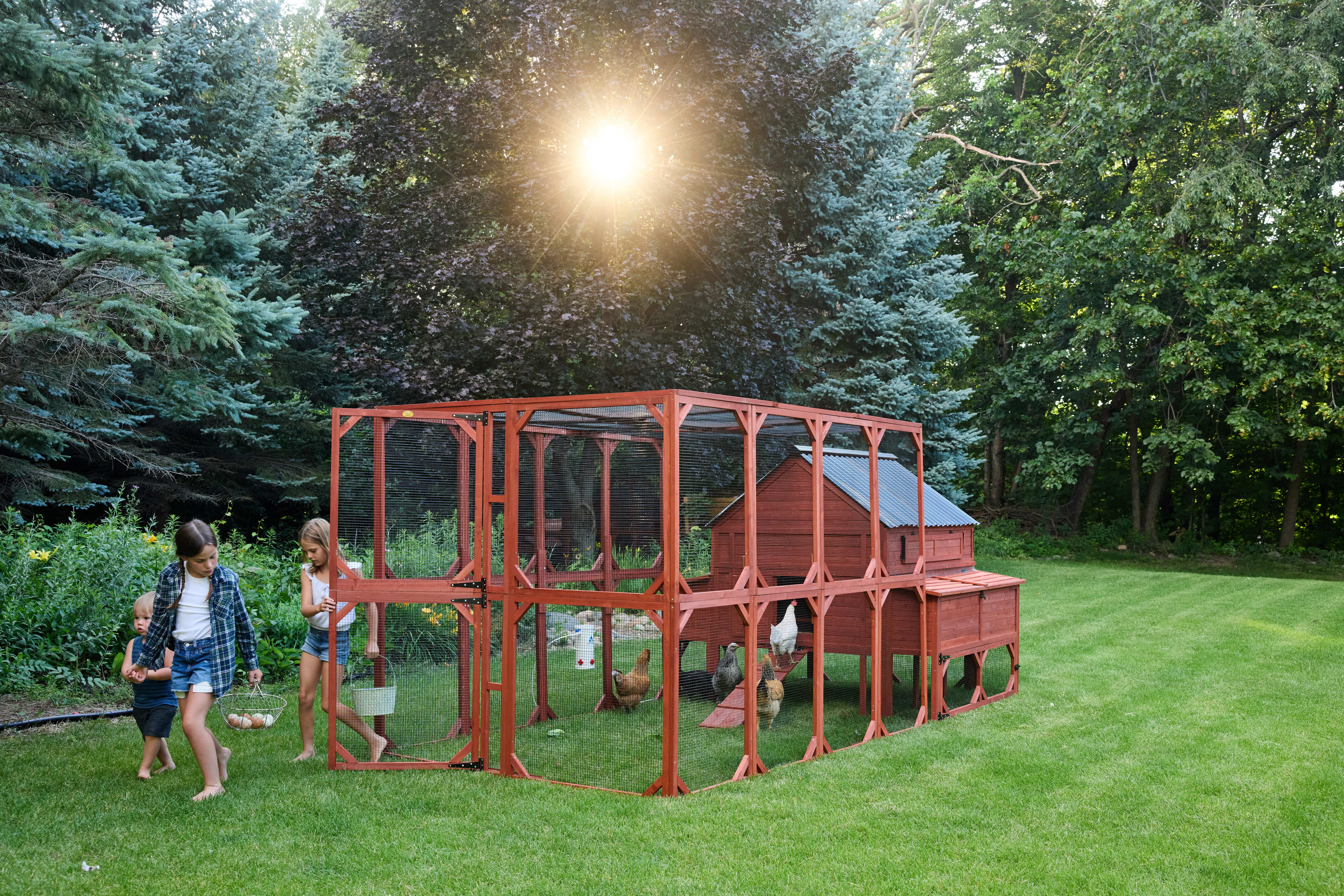 Chicken Coop for 15 Chickens – Brahma Chicken Coop