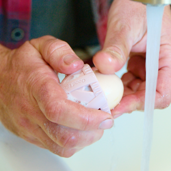Egg Washer