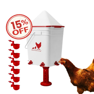 RentACoop 5 Gallon/ 6 Automatic-Fill Water Cup or Nipple Chicken Waterer with Adjustable Stand - Center Placement