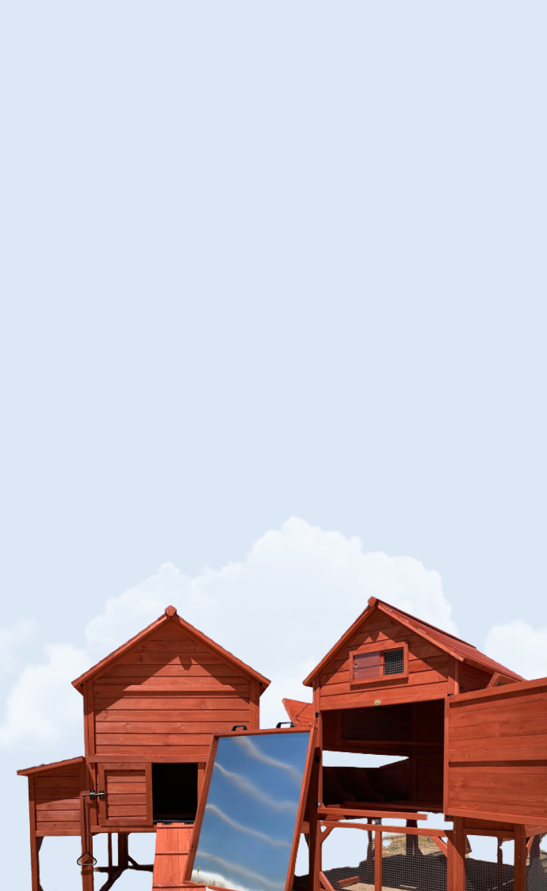 Frame_ Chicken coop