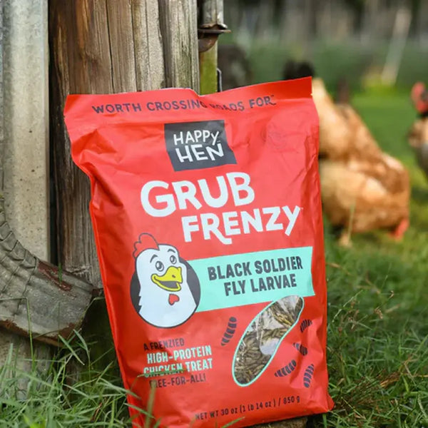 Grub Frenzy, 100% natural dried black soldier fly larvae for chicken training