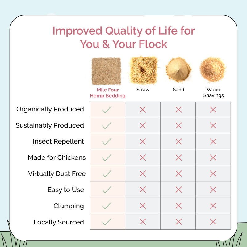 Organic eggs taste and look different: deep golden color, strong eggshells and consistent egg production. High-quality organic chicken feed for more eggs, bigger, tastier organic eggs
