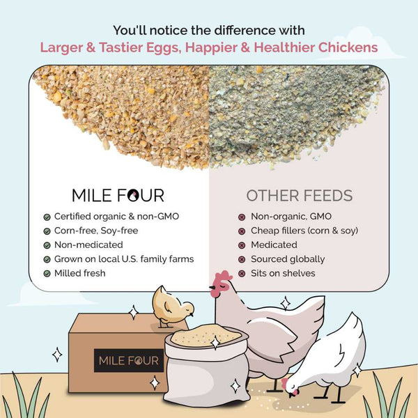 Mash Starter, a nutrient-rich feed for young chickens