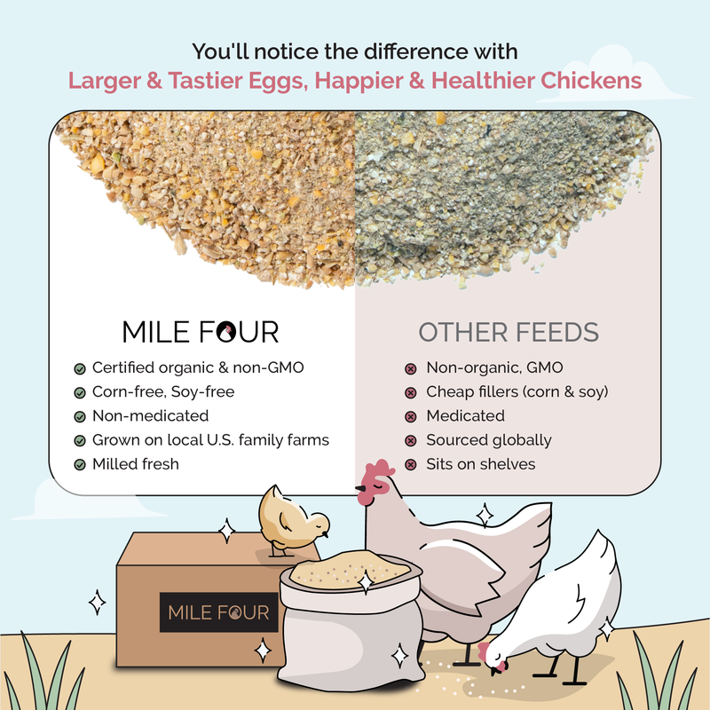 Mash Starter, supporting strong chick growth