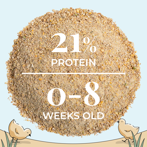 Mash Starter, a healthy feed option for young birds