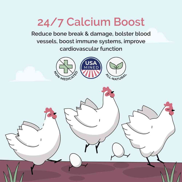 24/7 Calcium Boost
Reduce bone break & damage, bolster blood vessels, boost immune systems, improve cardiovascular function