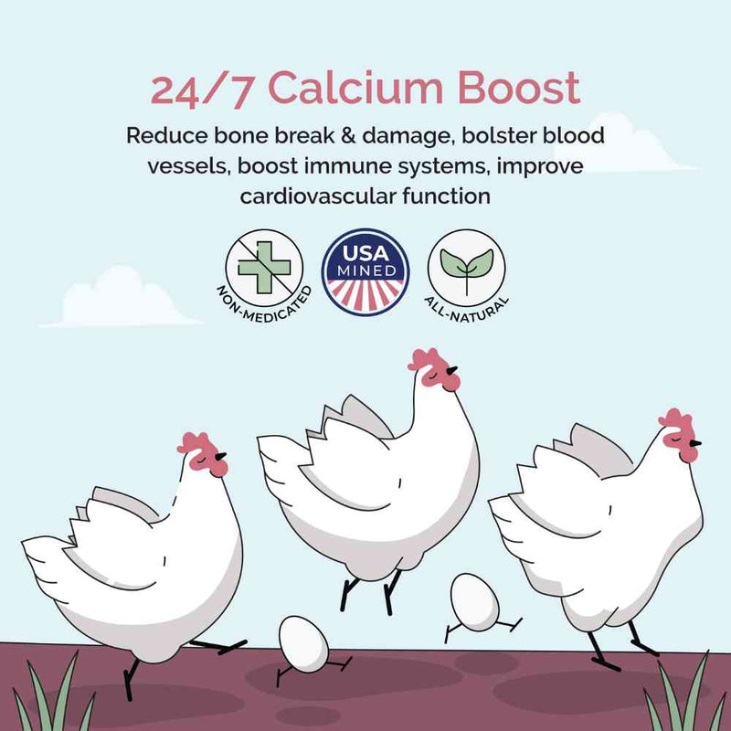24/7 Calcium Boost
Reduce bone break & damage, bolster blood vessels, boost immune systems, improve cardiovascular function