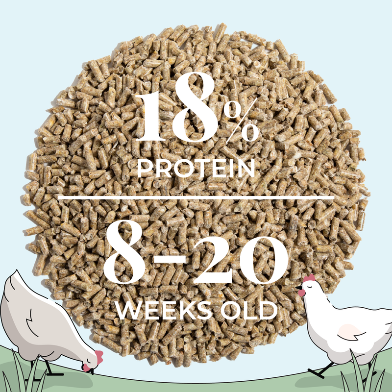 3 CHICKEN FEED TYPES: Chickens are picky eaters, choose from 3 feed types; Whole Grain (natural textures, ideal as chickens are visual eaters),