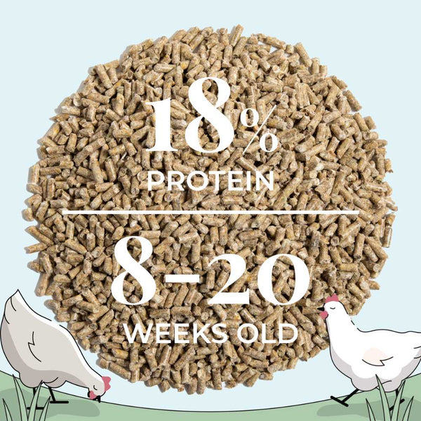 18% Protein 8-20 Weeks old