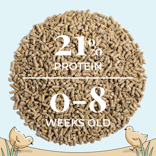 Mile Four Grower Organic 18% Protein Pellet Chicken & Duck Feed is a complete feed ration for grower hens from eight to 20 weeks old.