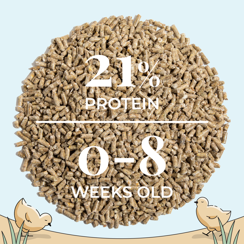 Mile Four Grower Organic 18% Protein Pellet Chicken & Duck Feed is a complete feed ration for grower hens from eight to 20 weeks old.