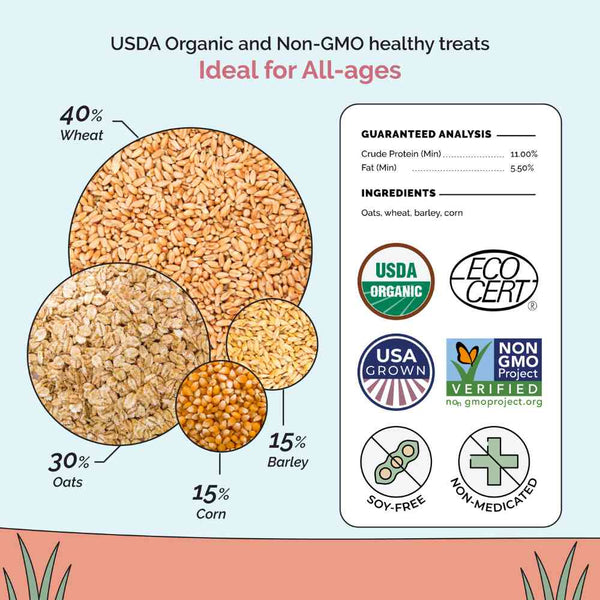 USDA Organic and Non-GMO healthy treats Ideal for All-ages