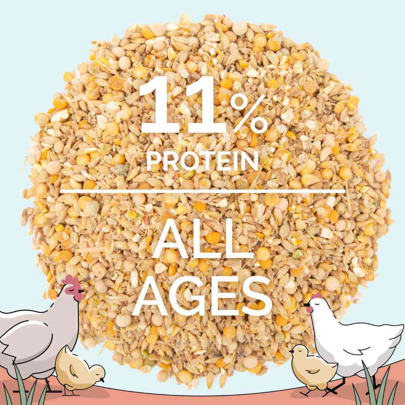 11% Protein all ages for Chicken