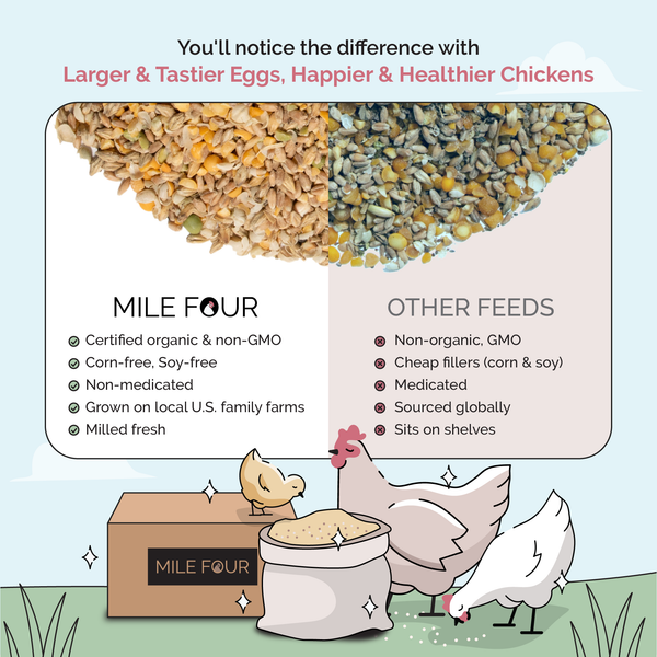 Larger & Tastier Eggs, Happier & Healthier Chickens