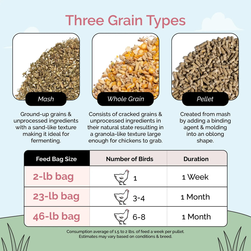 Grower Feed Kit | 12 Weeks of Organic Feed & Grit for 10 Pullets