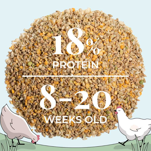 Healthier, healthier chickens: Shiney plumage, brightly colored combs, firm, confident chickens, high activity levels. Premium organic chicken feed with 21% protein, essential vitamins and minerals for optimal health, nutrition and egg production.